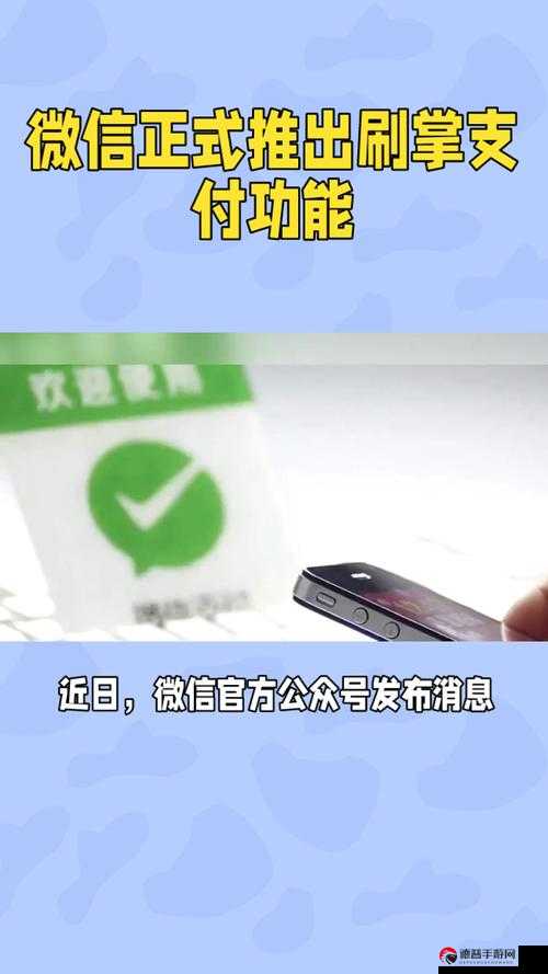 Ks赞自助微信支付，探索便捷社交互动的新潮流